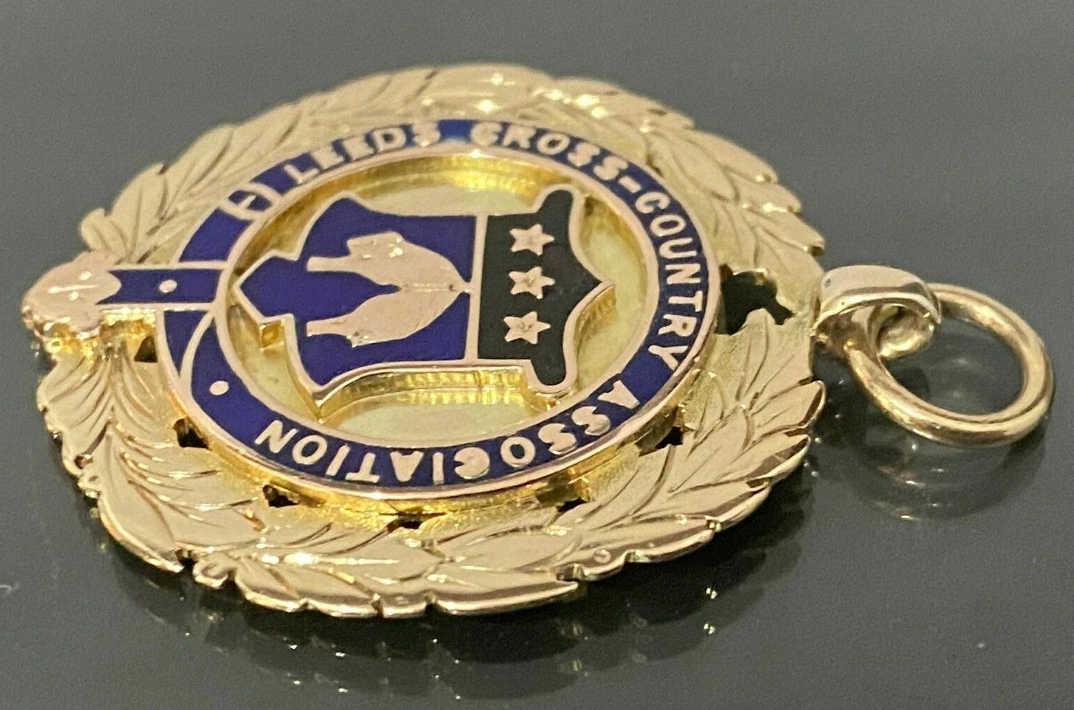 Victorian 9K Yellow Gold & Enamel Fob Medallion Medal C1897